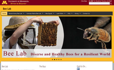 Bee Lab screengrab. 
