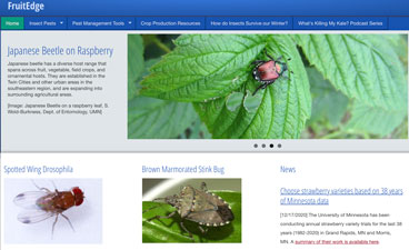 Screenshot FruitEdge Website.
