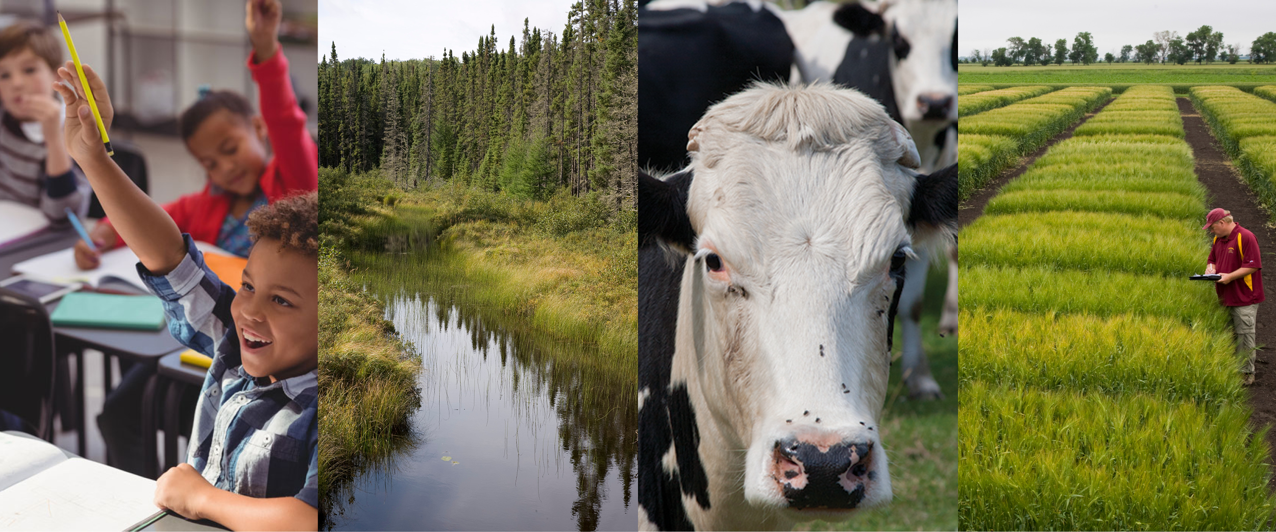 Collage showing dairy cow, kids, field plots and forest with stream.