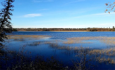 a Minnesota lake with forests in the background