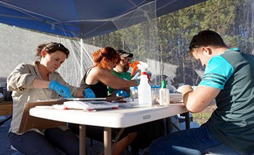 researchers sit at a table handling water and fish samples